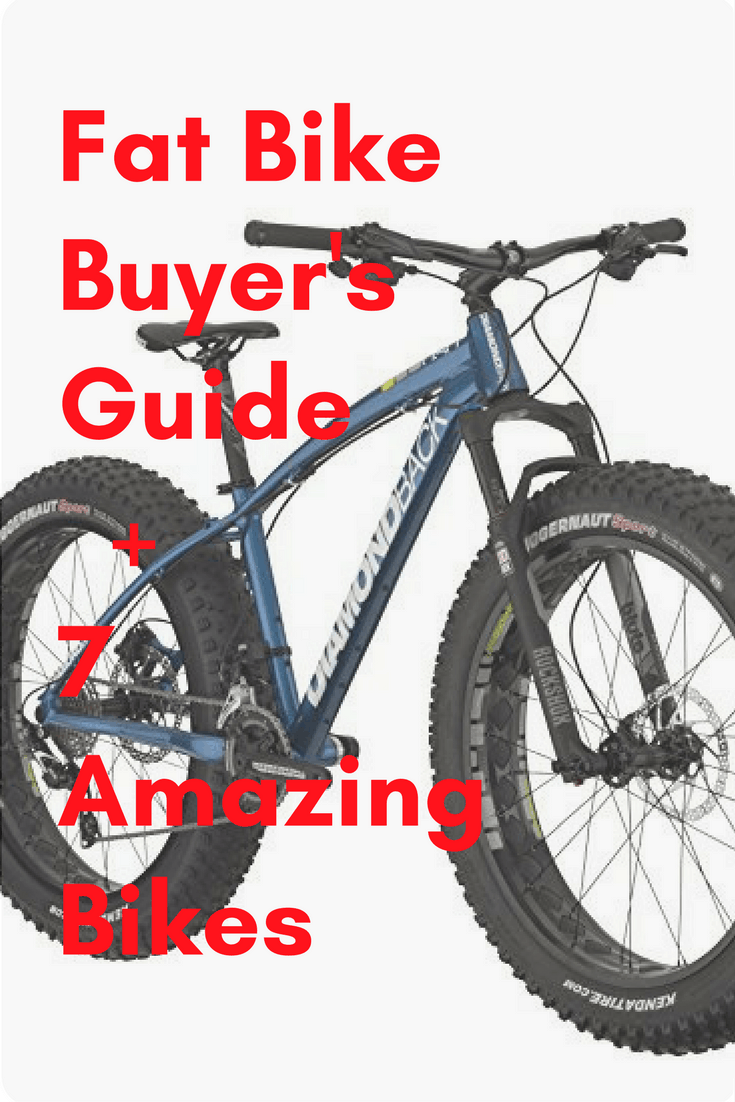 best 2019 fat bikes