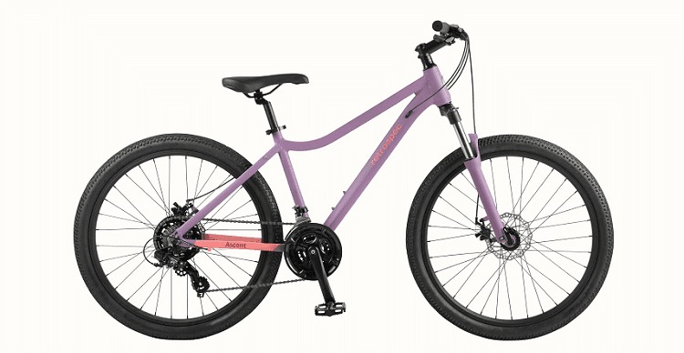 Ascent Mountain Bike